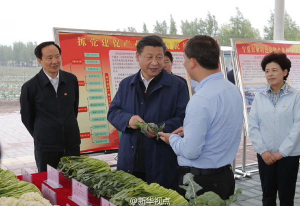 习近平考察宁夏07.jpg